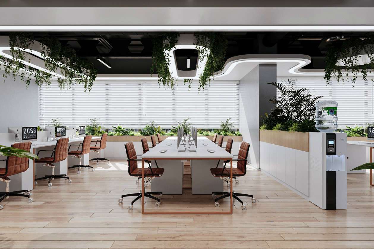 1648015732334219.jpg 3237.jpg