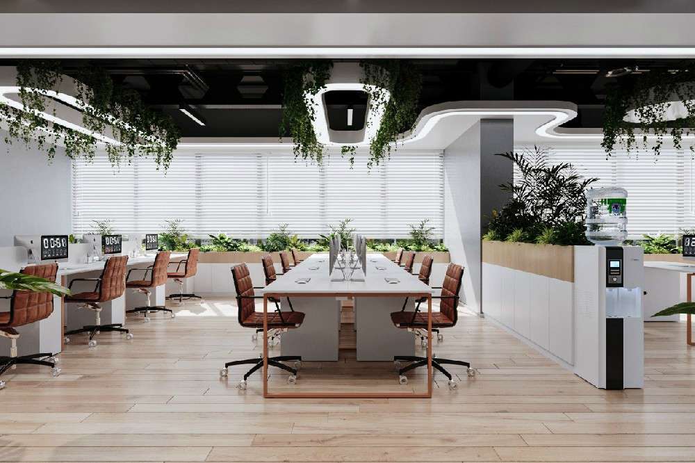 1648459106160962.jpg 3237.jpg