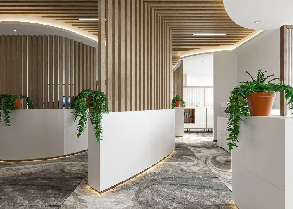 鄭州辦公樓裝修后怎么選擇綠植凈化 鄭州辦公樓裝修后怎么選擇綠植凈化